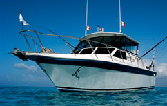 Cozumel diving